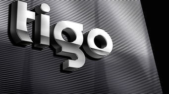 深圳比領(lǐng)設(shè)計(jì) 為Tigo金泰克科技注入品牌靈魂，打造專業(yè)電子產(chǎn)品VI與Logo設(shè)計(jì)